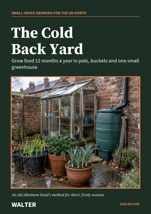 The Cold Back Yard